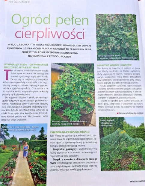 działkowiec-pwanda